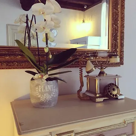 Historic Center - Elegant With Charming Antiques - Raffaello Apartment